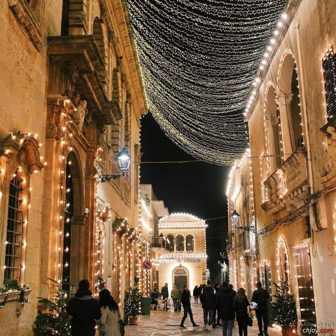     .✨🌟🎄 