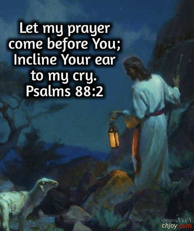 let my  prayer come  before  you 