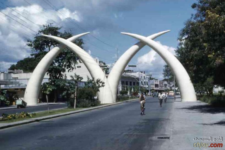  Mombasa Tusks 