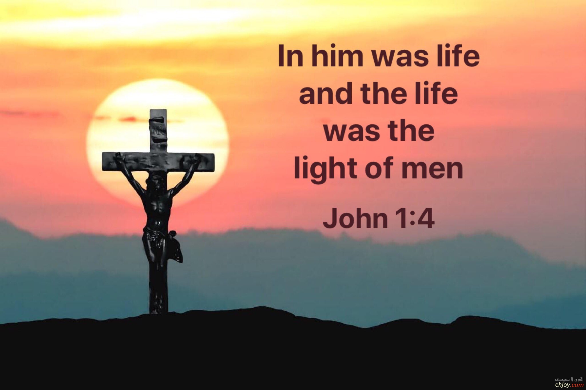 In him was life  and the life was the light of men 