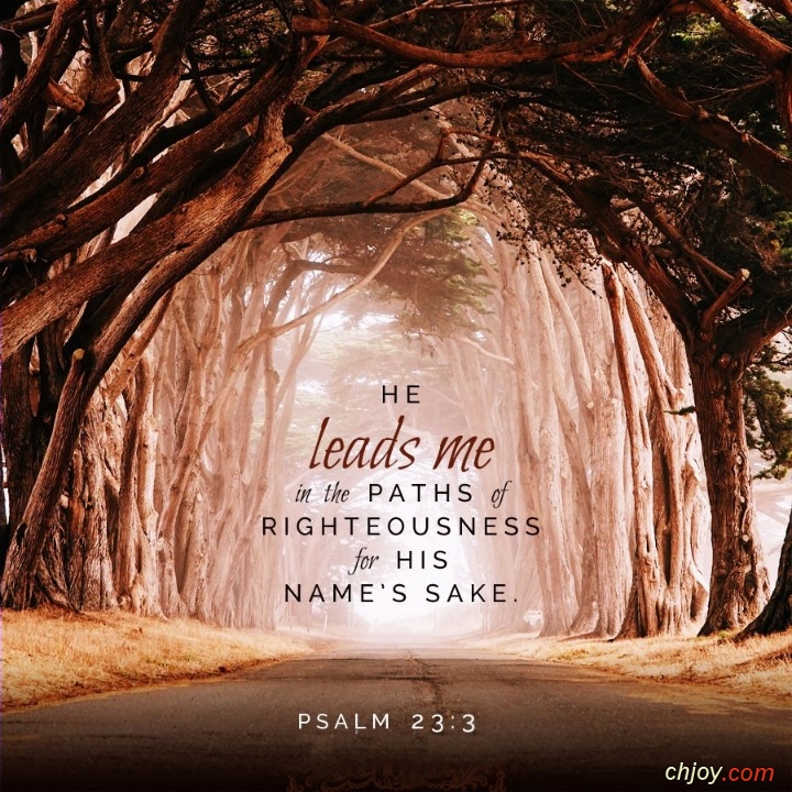 He leads me in the paths of righteousness For His names sake 