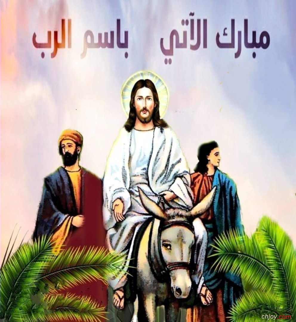 Happy Palm Sunday 