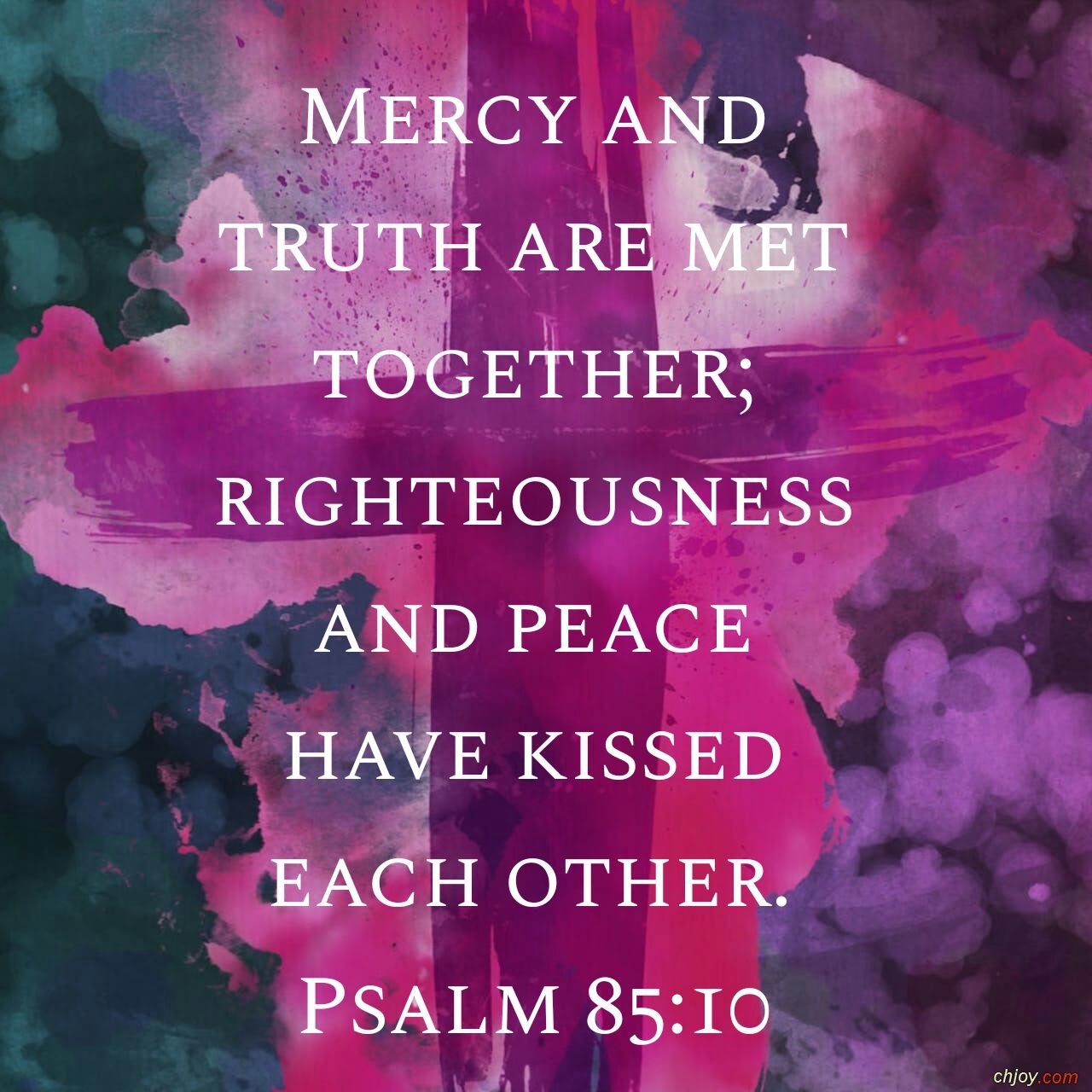 Mercy and truth are met together 