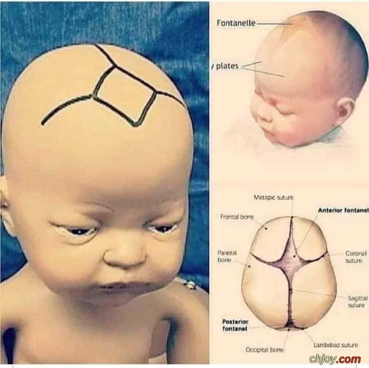          👶 