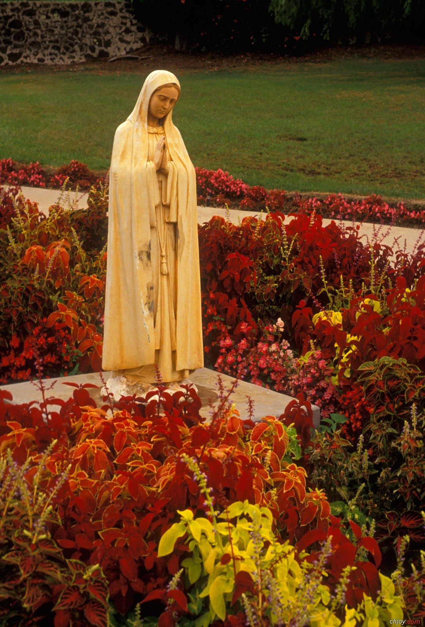 A statue of the Virgin Mary 