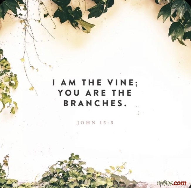 I am the vine, ye are the branches 