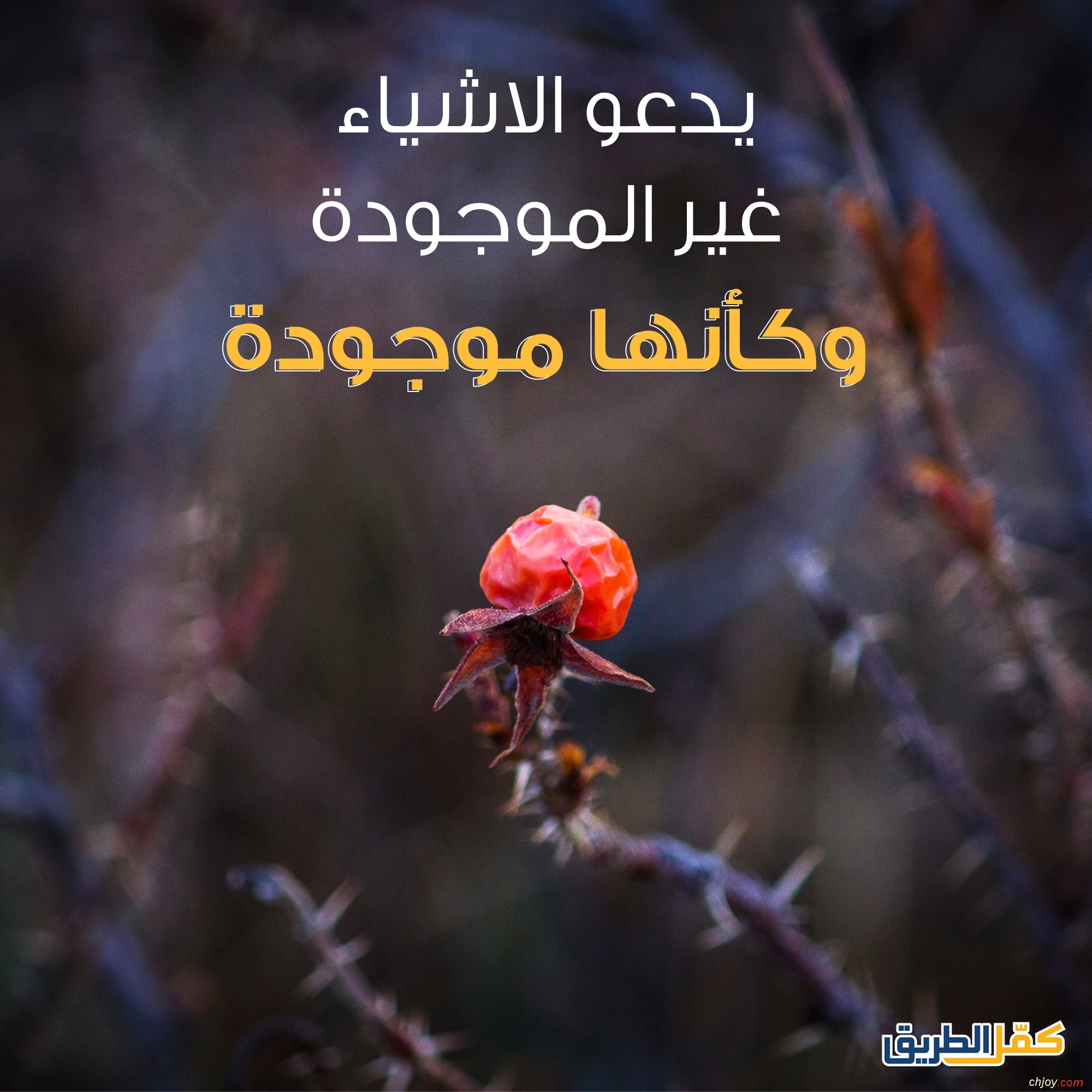 صدّق كلمته 