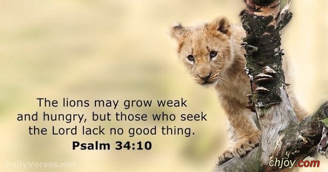 those who seek the Lord lack no good thing 