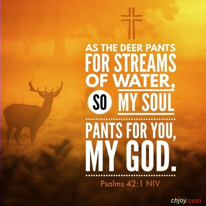 As the deer pants for streams of water 