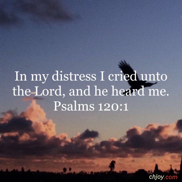 In my distress I cried unto the Lord, and He heard me 