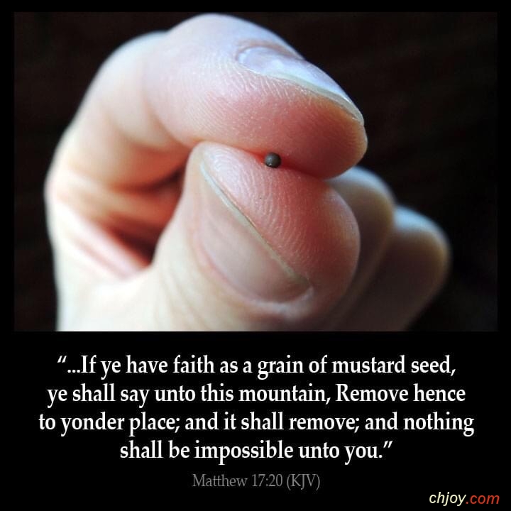 Faith of a mustard seed 