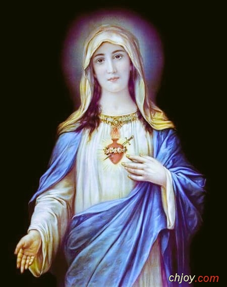 O Immaculate Heart of Virgin Mary 