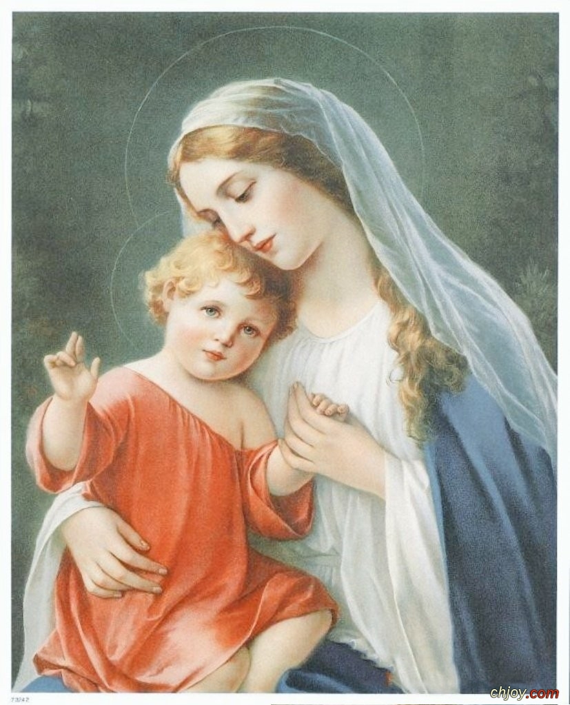 Mary helped to form the human nature of Christ 