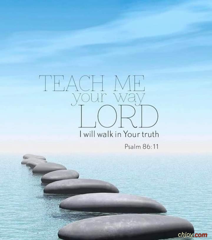 Teach me your way, O LORD, that I may walk in your truth 