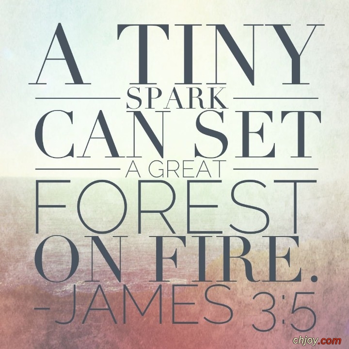 Consider what a great forest is set on fire by a small spark 