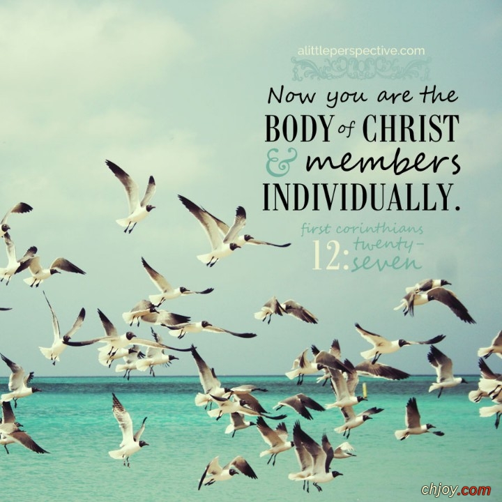 Now you are the body of Christ 