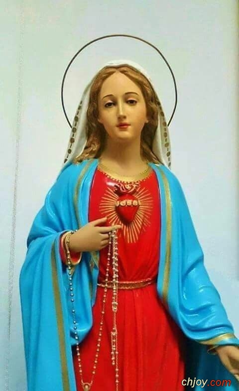 Holy Virgin Mary Pray for us 