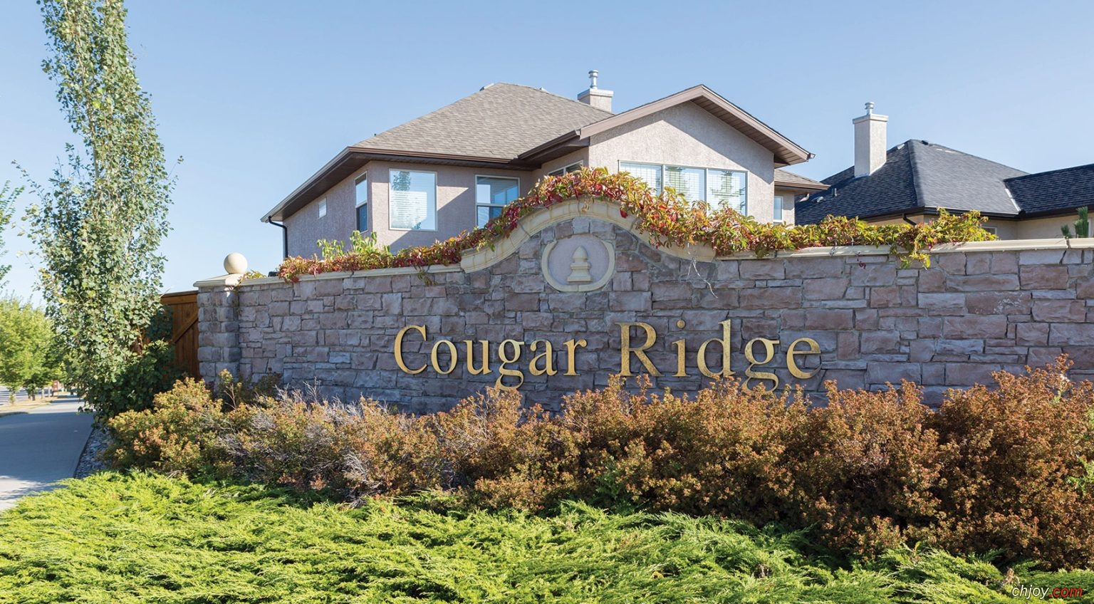   Cougar Ridge 