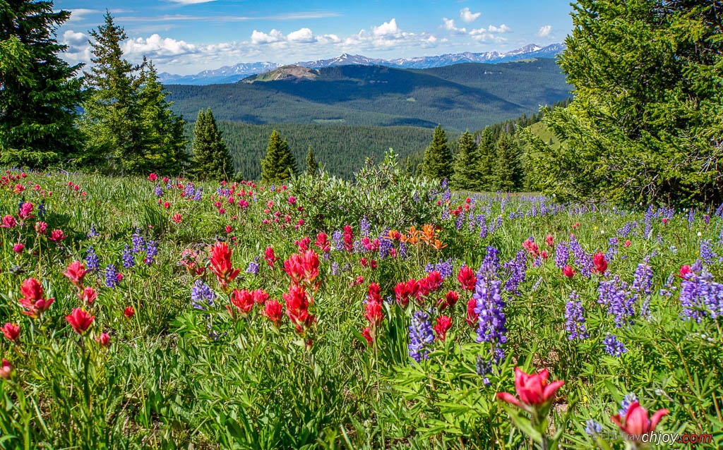    Game Creek Trail 