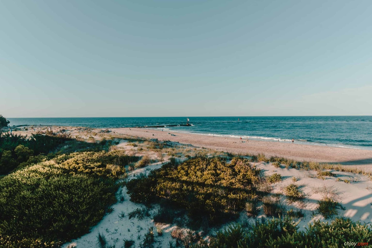 Rehoboth and Delaware Beaches 