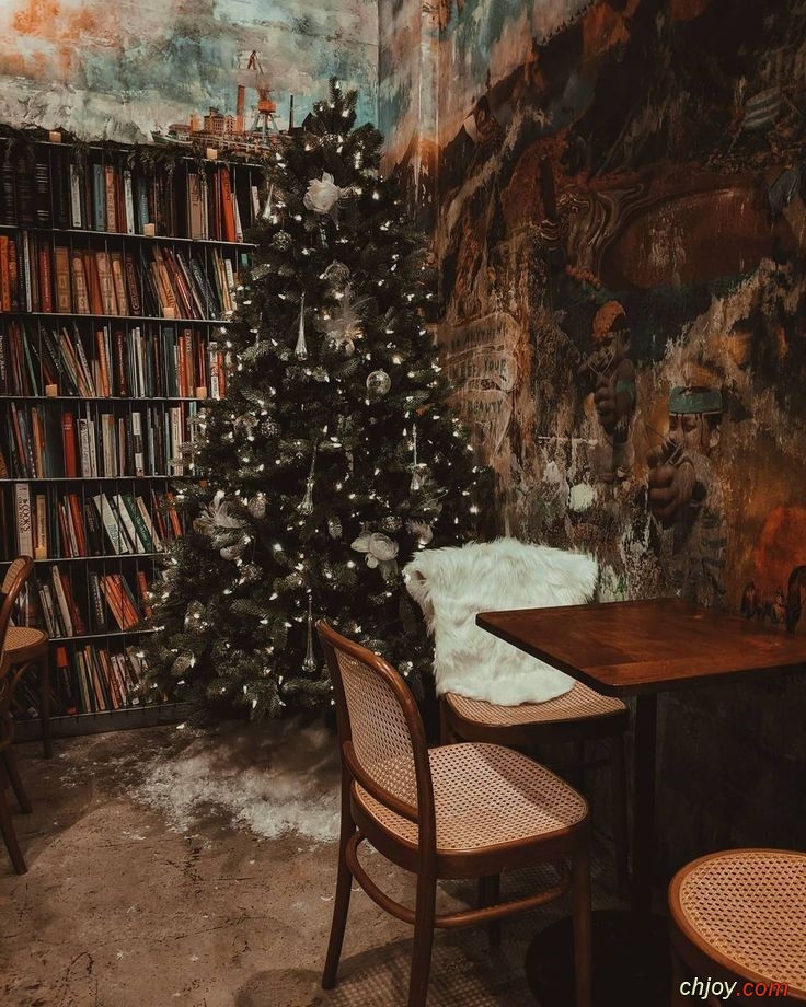 Christmas in an old library 