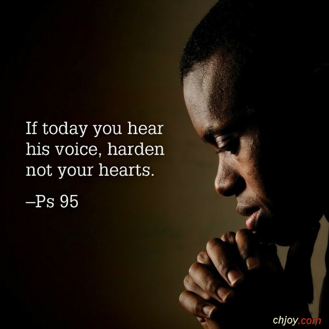 If today you hear his voice, harden not your hearts 