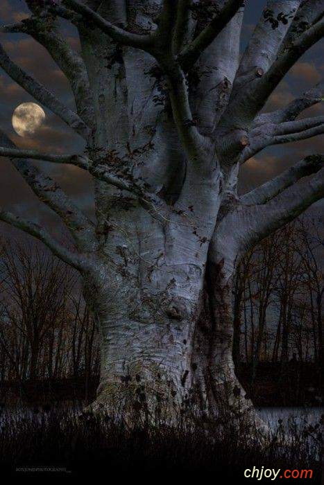 Mme la lune est triste de toutes les injustices du monde 