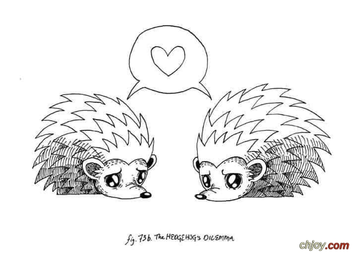   🦔 Hedgehog's dilemma 