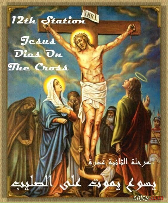 مراحل درب الصليب ✝ ال 14 The 14 Sations of the Holy Cross ✝ 