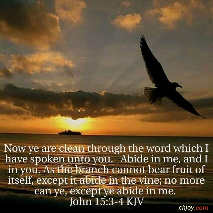 Now you are clean through the word which I have spoken unto you 