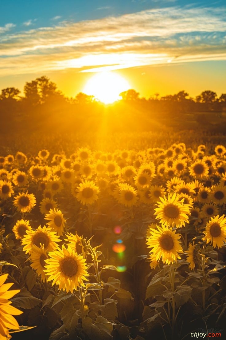 Être rveill par un rayon de soleil 