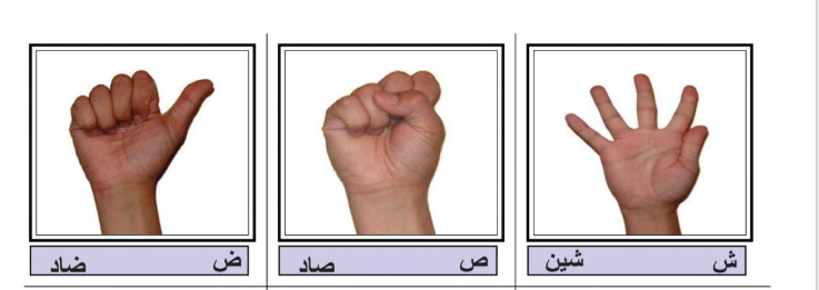-_ _   