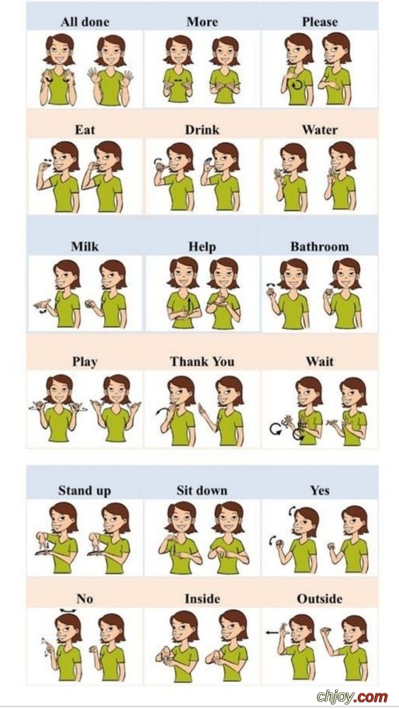 In the picture are some words in English in sign language 