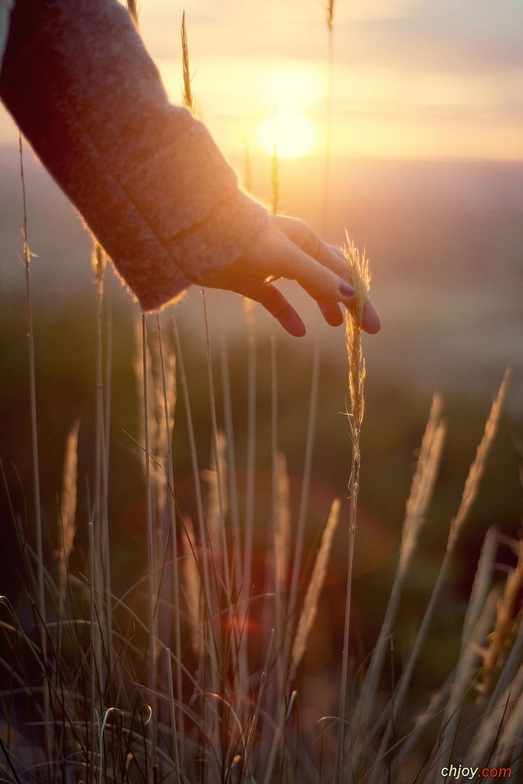 Vivre sans limites, selon nos envies 