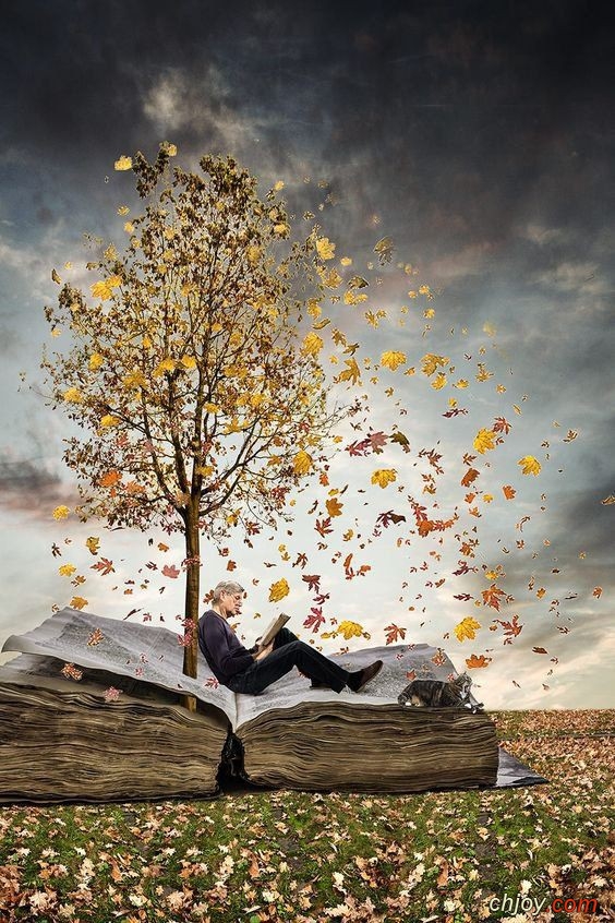 La lecture comme les feuilles 