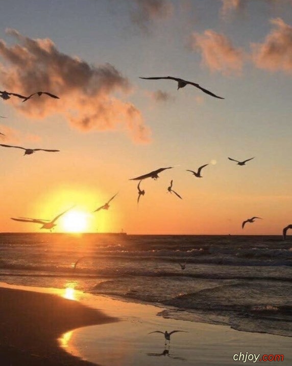 Quand le soleil se lve Sous le chant des oiseaux 