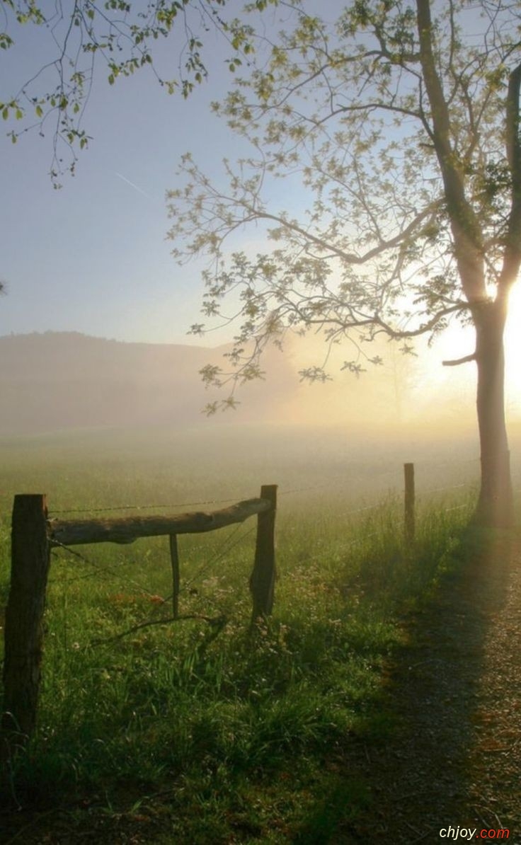 Un matin timide 