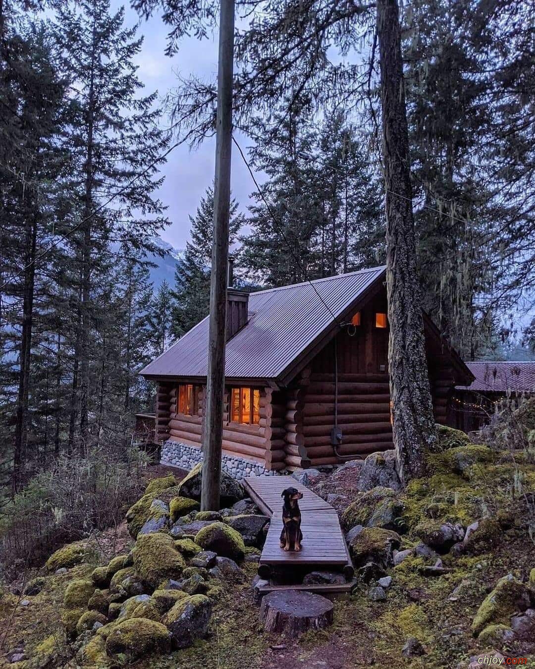 La solitude, on peut aussi l'appeler libert 