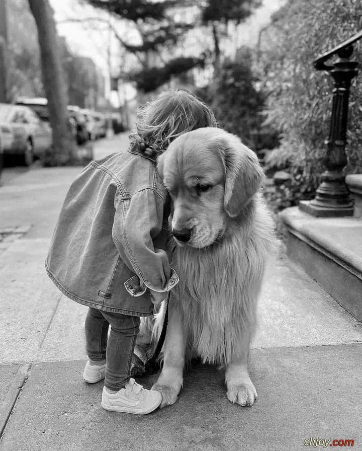 Nous devrions rendre grce aux animaux pour leur innocence fabuleuse 