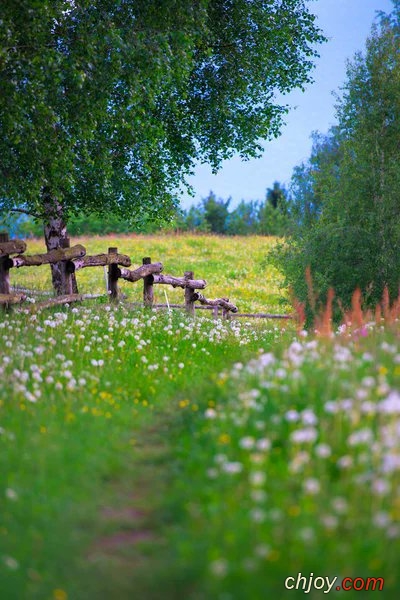 Le printemps, l'veil de la terre 