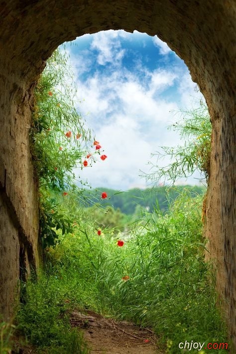 La terre est belle, au printemps elle est merveille 