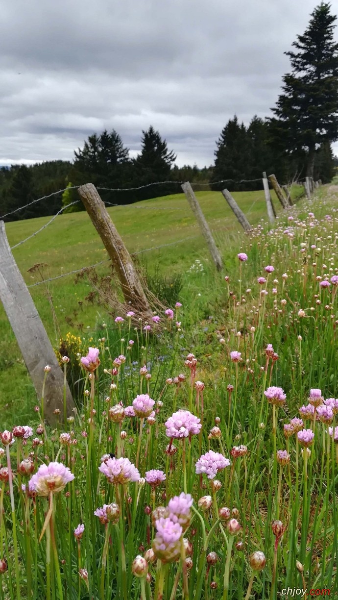 La nature sauvage inspire l'merveillement 