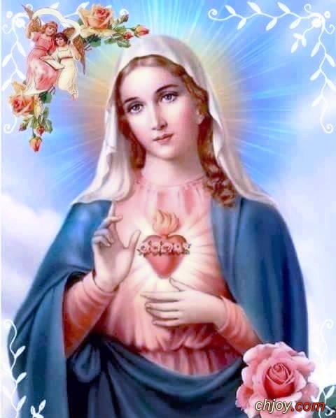 Heart of Mary, full of Grace.. Pray for us! 🙏✝️❤️🌹🕊️ 