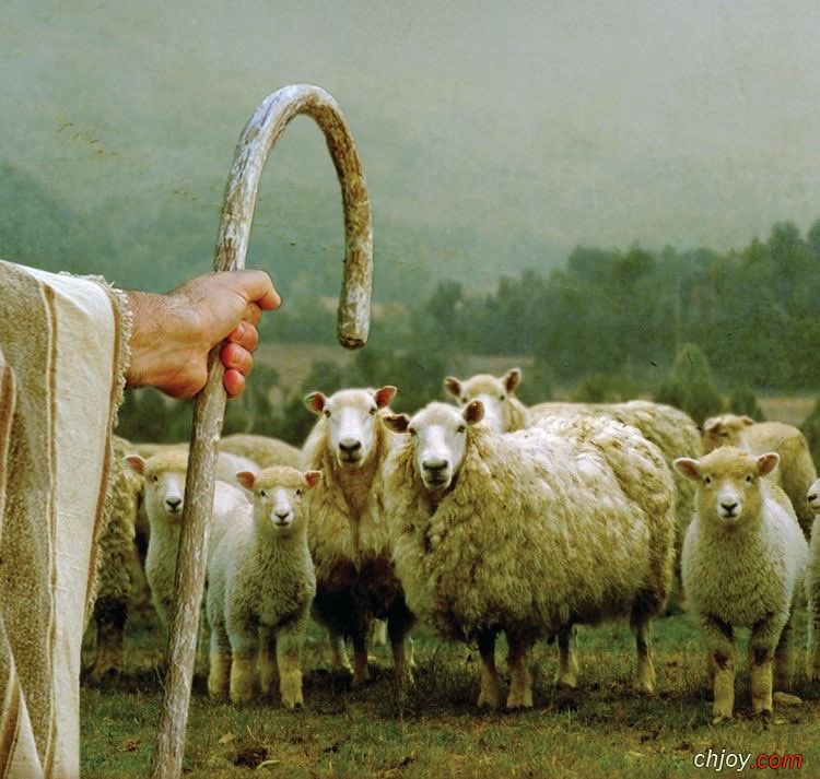 My sheep hear my voice, says the Lord 