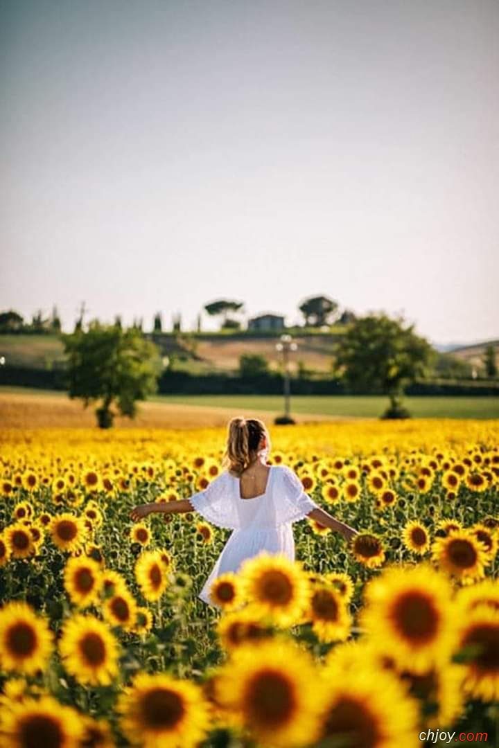 Pour voir le coeur 