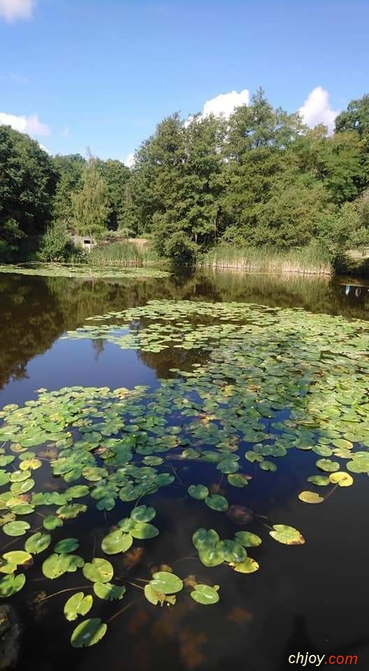 La nature a ce pouvoir unique de nous apaiser 