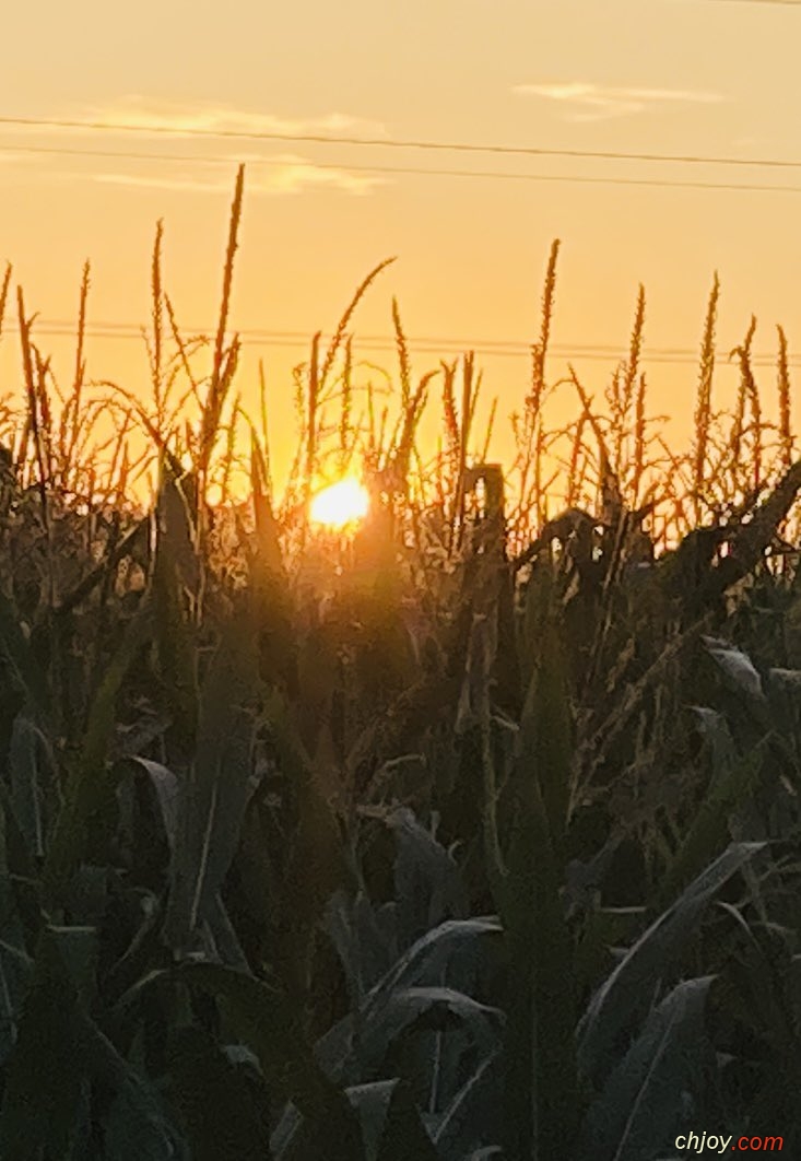 Quand le soleil illumine la vie 