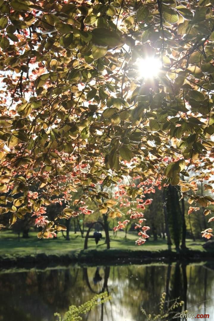 C'est la nature 