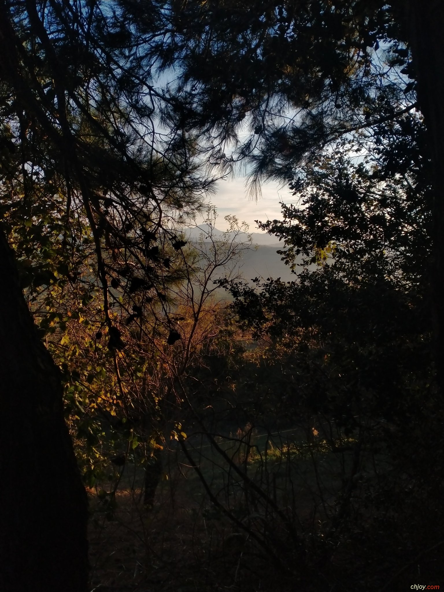 Au milieu du beau brouillard 