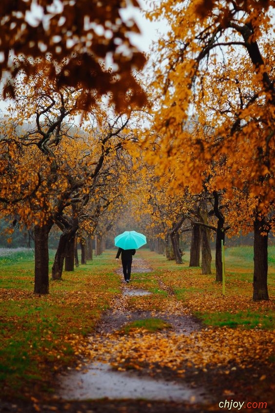 Ne pas avoir peur de la pluie 